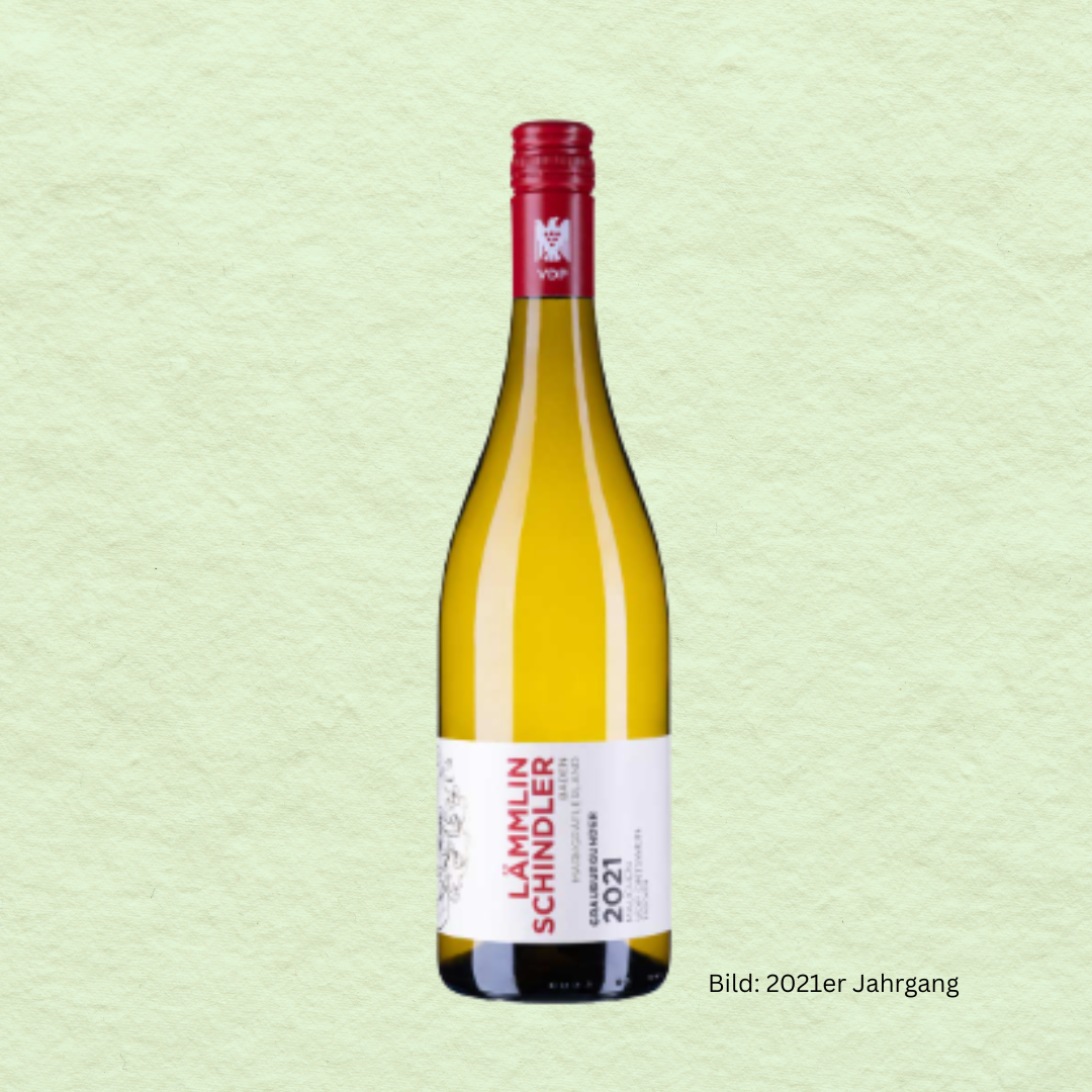 2023 Mauchen Grauburgunder trocken